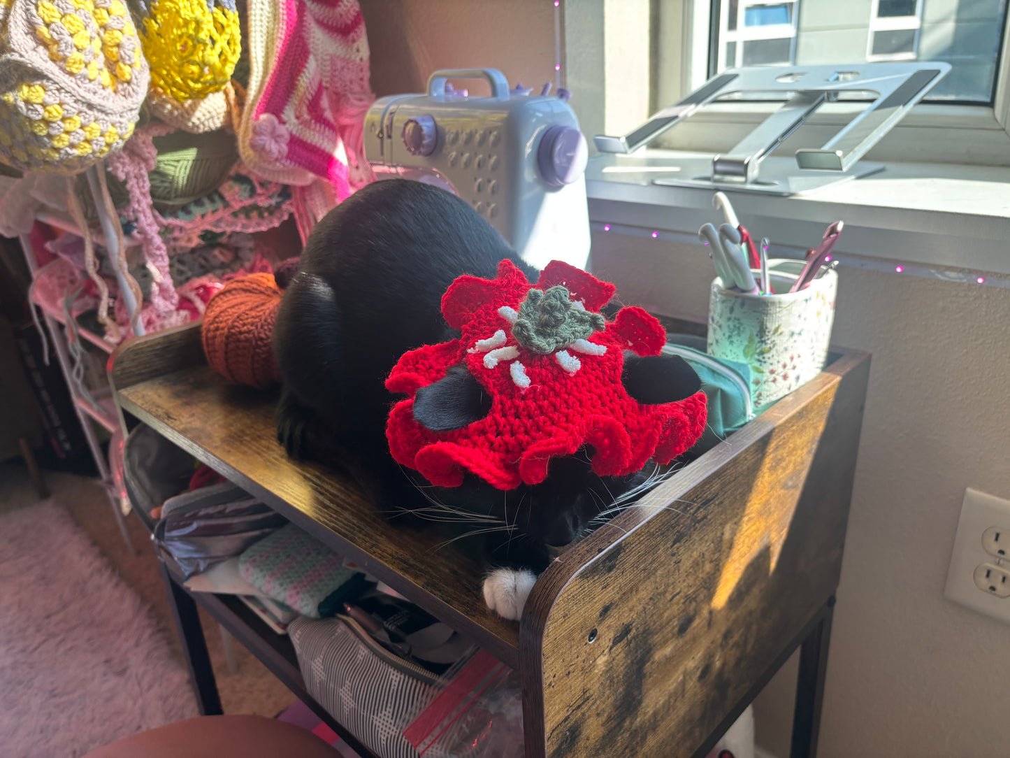 strawberry cat costume