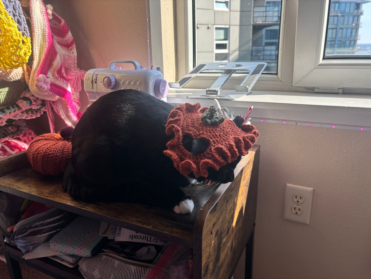 pumpkin pet costume