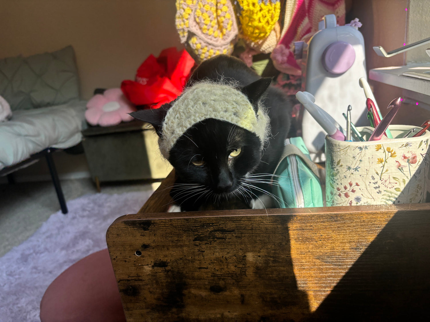 kitty krochet