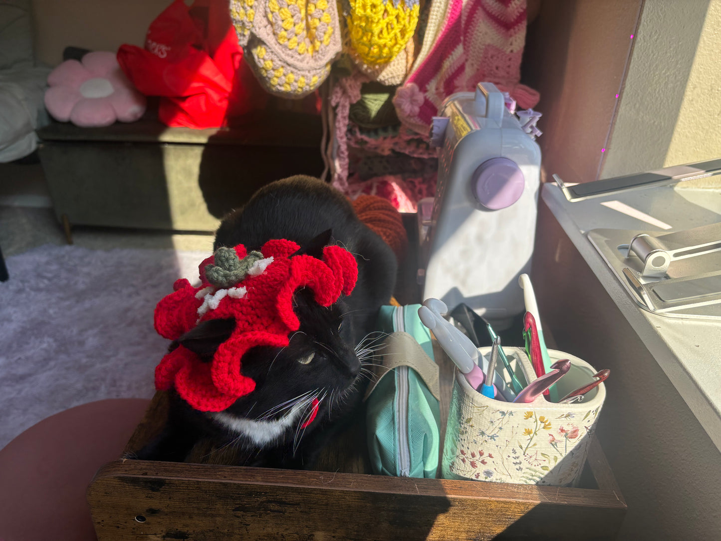 strawberry cat costume