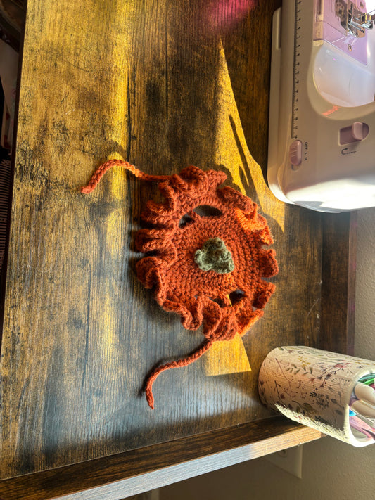 pumpkin pet costume
