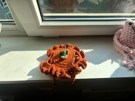 pumpkin pet costume