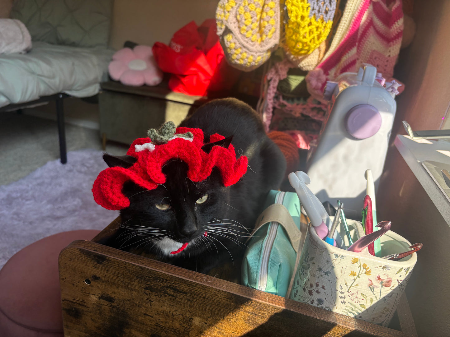 strawberry cat costume